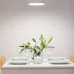 Flamingo Beach By Praia Apartments * Sopot